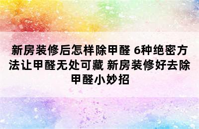 新房装修后怎样除甲醛 6种绝密方法让甲醛无处可藏 新房装修好去除甲醛小妙招